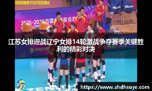 江苏女排迎战辽宁女排14轮激战争夺赛季关键胜利的精彩对决